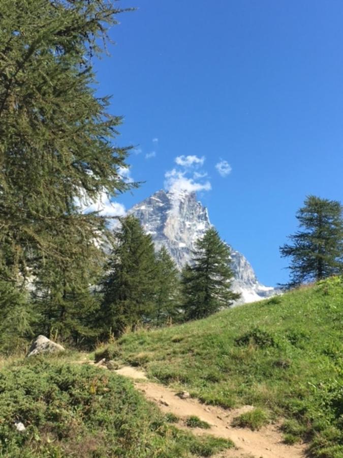 Apartmán Casa Cervinia Circus Breuil-Cervinia Exteriér fotografie