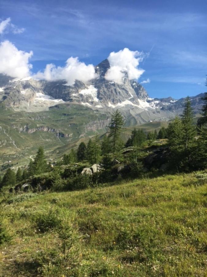 Apartmán Casa Cervinia Circus Breuil-Cervinia Exteriér fotografie